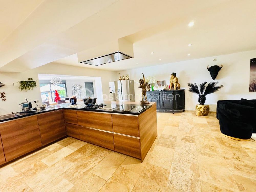 � vendre  Propri�t�/ch�teau Corbi�res (04220)