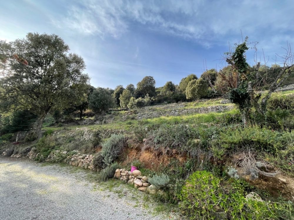 � vendre  Maison Porticcio (20166)