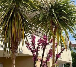  Appartement � vendre 2 pi�ces 46 m�