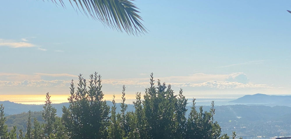 � vendre  Propri�t�/ch�teau Magagnosc (06520)