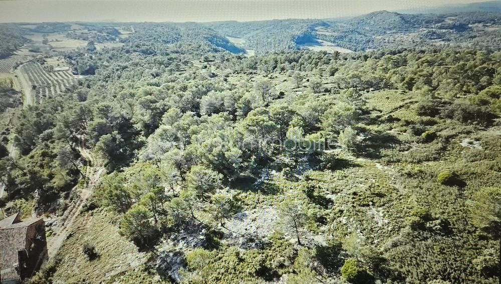 � vendre  Propri�t�/ch�teau Saint-Chinian (34360)