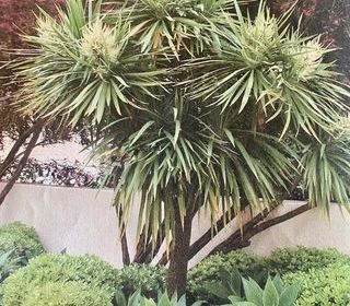  Maison � vendre 5 pi�ces 124 m�