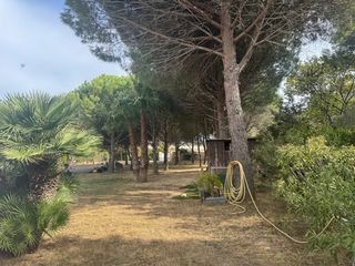  Terrain � vendre 5997 m�