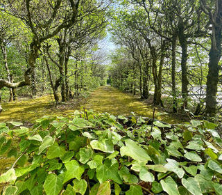  Propri�t�/ch�teau � vendre 10 pi�ces 485 m�