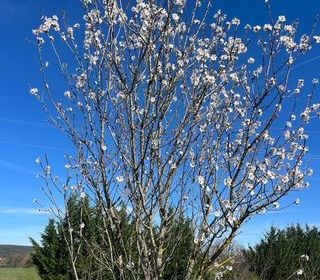  Terrain � vendre 2600 m�