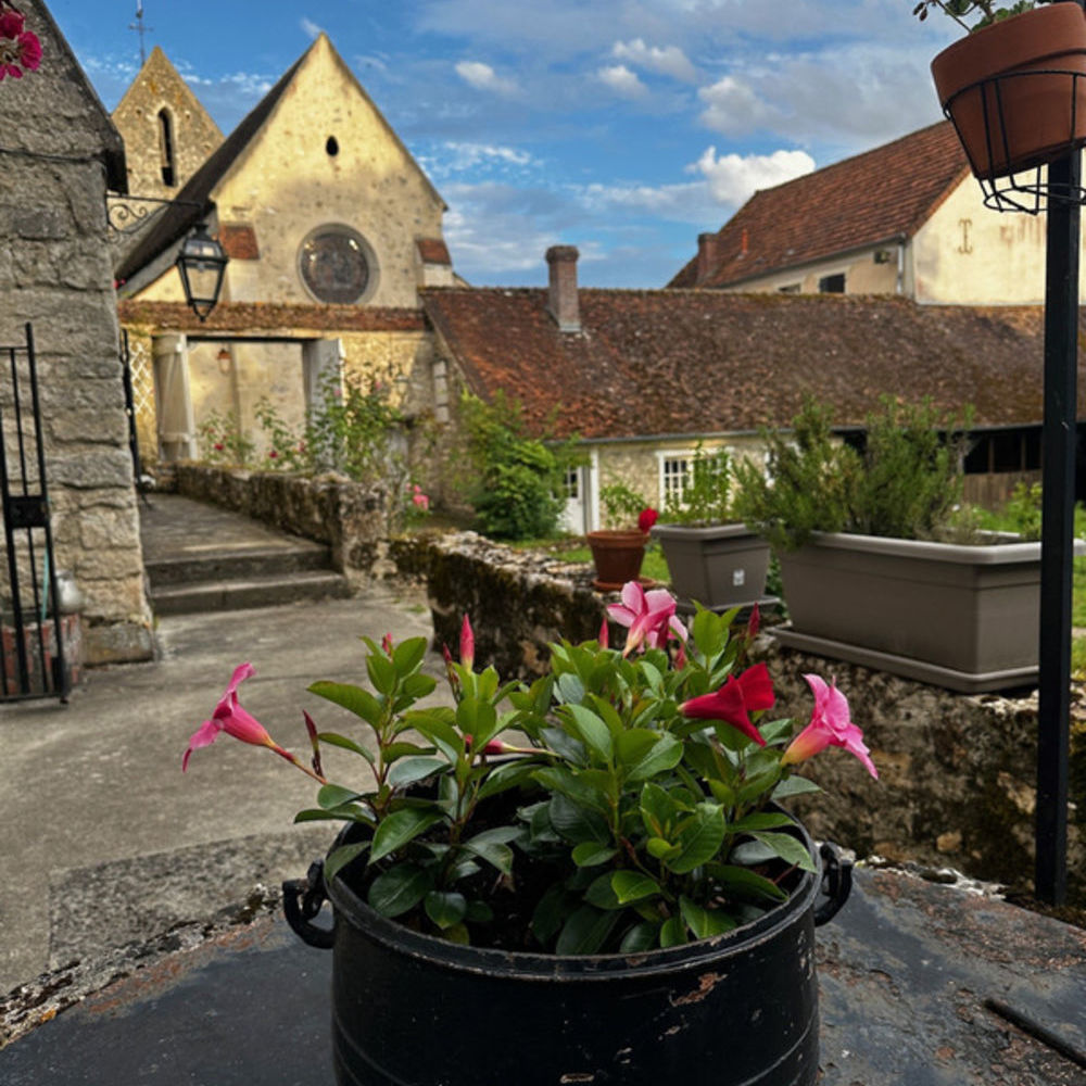 � vendre  Propri�t�/ch�teau Baulne-en-Brie (02330)