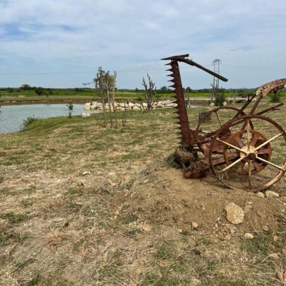 � vendre  Propri�t�/ch�teau Bassan (34290)