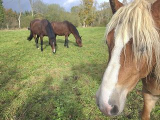  Maison � vendre 5 pi�ces 112 m�