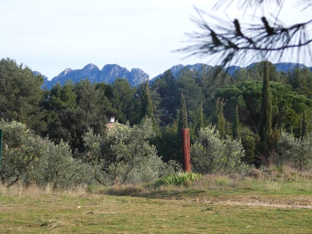 � vendre  Maison Saint-R�my-de-Provence (13210)