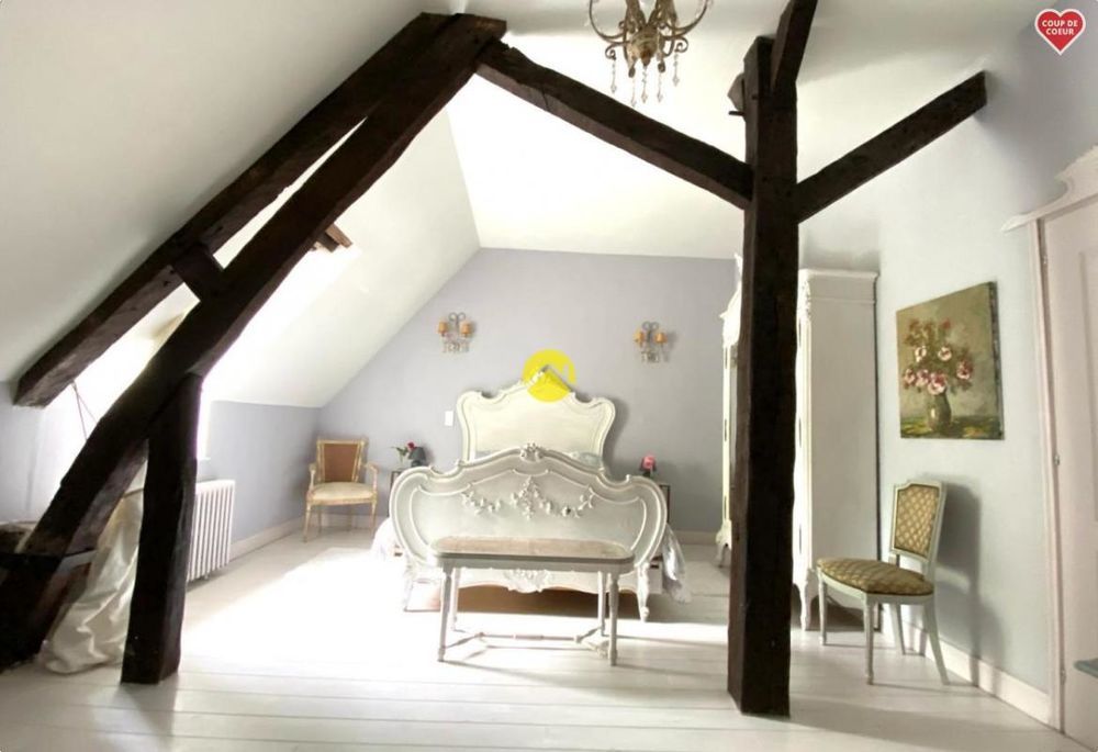 � vendre  Propri�t�/ch�teau Lu�ay-le-M�le (36360)