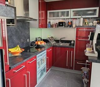  Duplex/triplex � vendre 4 pi�ces 93 m�