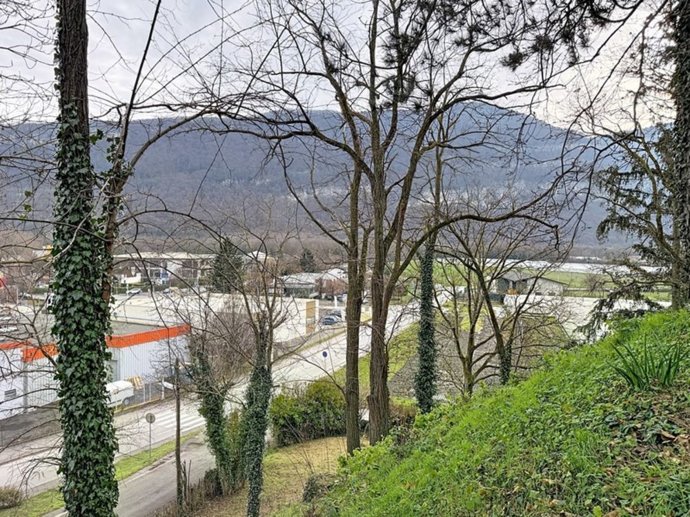 � vendre  Maison Gaillard (74240)