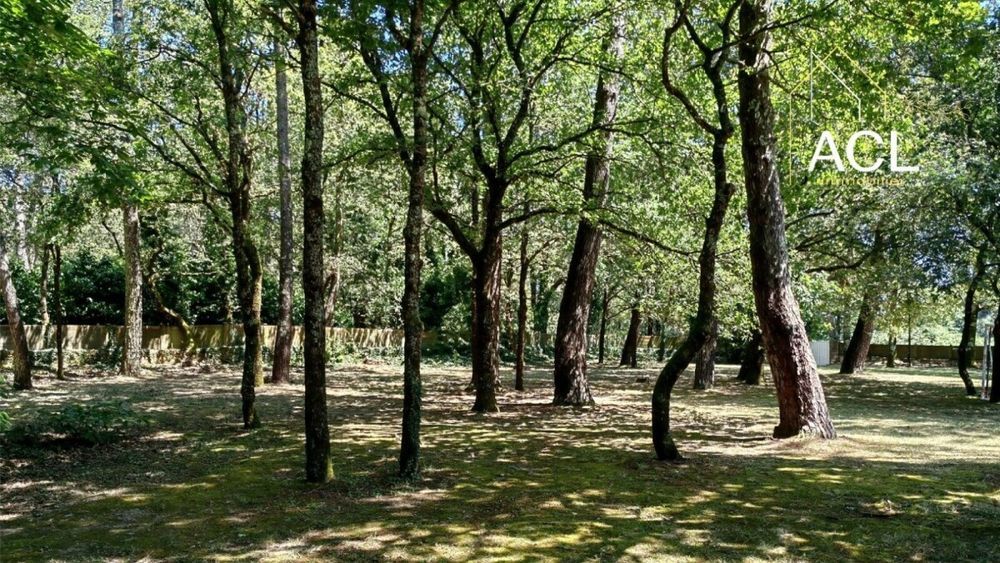 � vendre  Villa Carnac (56340)