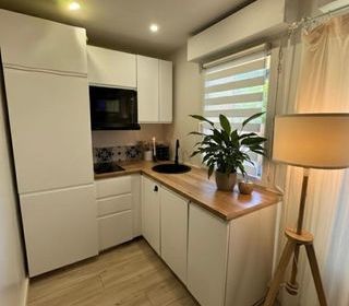  Appartement � louer 1 pi�ce 32 m�