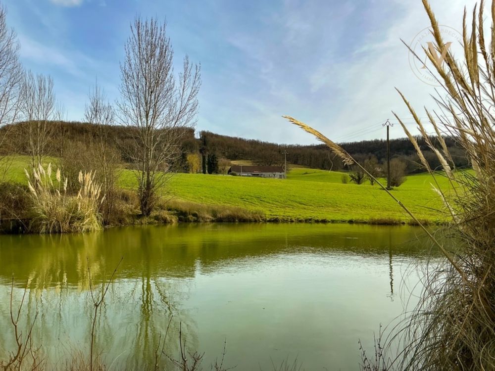 � vendre  Propri�t�/ch�teau Penne-d'Agenais (47140)