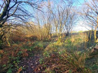  Terrain � vendre 62680 m�