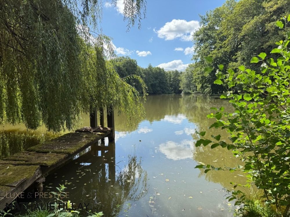 � vendre  Propri�t�/ch�teau Sandillon (45640)