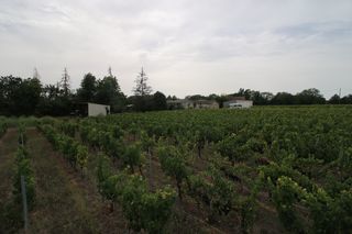  Propri�t�/ch�teau � vendre 7 pi�ces 150 m�