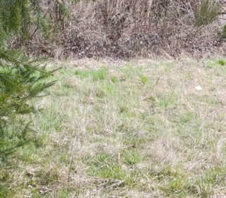  Terrain � vendre 1467 m�