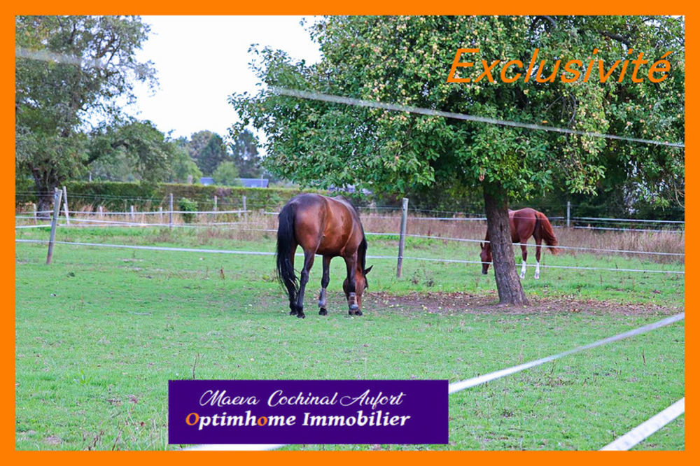 � vendre  Propri�t�/ch�teau Verneuil-sur-Avre (27130)