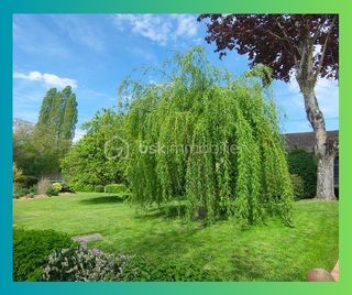  Maison � vendre 6 pi�ces 150 m�