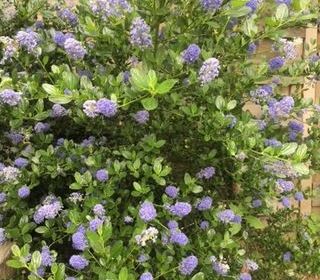  Terrain � vendre 290 m�