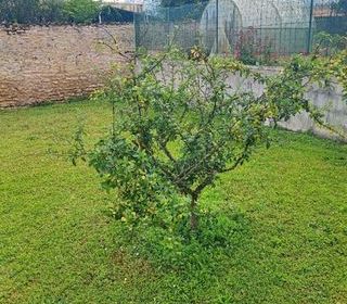  Terrain � vendre 499 m�