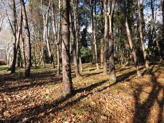  Terrain � vendre 5620 m�