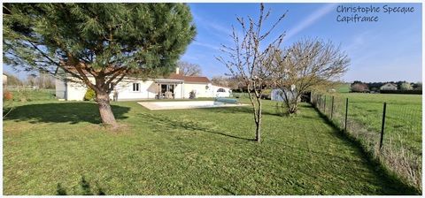   Maison de plain-pied, piscine � vendre secteur de  RANDAN (63) Maison - 6 pi�ce(s) - 151 m�