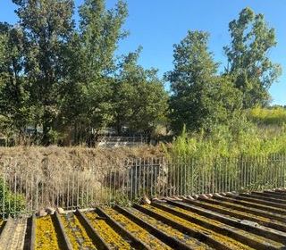  Appartement � vendre 2 pi�ces 30 m�