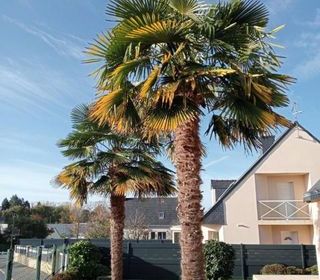  Maison � vendre 6 pi�ces 157 m�