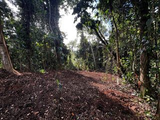  Terrain � vendre 3882 m�