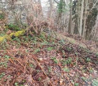  Remise / Grange � vendre 1 pi�ce 60 m�