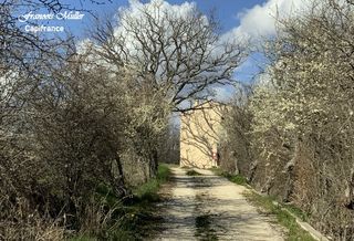  Maison � vendre 12 pi�ces 268 m�