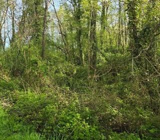  Terrain � vendre 2500 m�