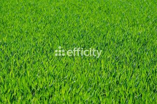  Terrain � vendre 345 m�