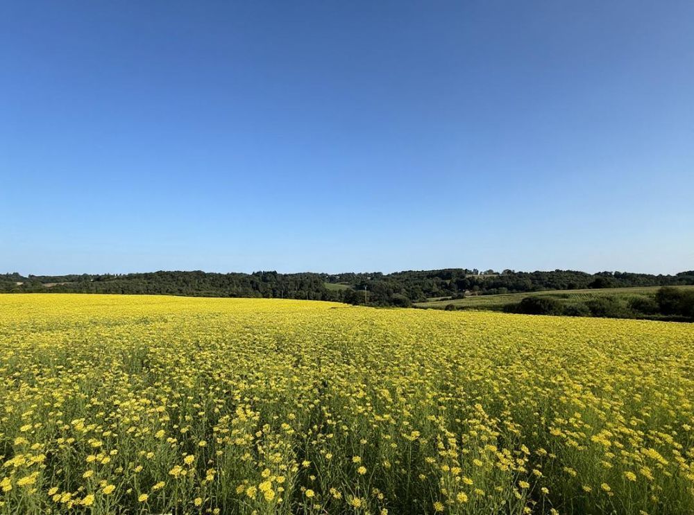 � vendre  Maison Payzac (24270)