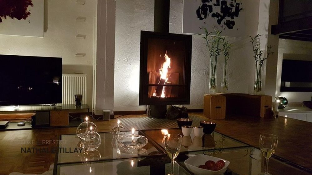 � vendre  Loft Orl�ans (45000)