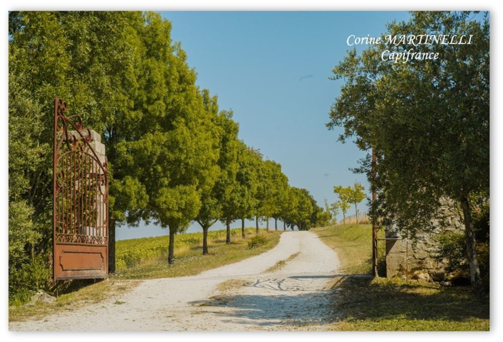 � vendre  Propri�t�/ch�teau Agen (47000)