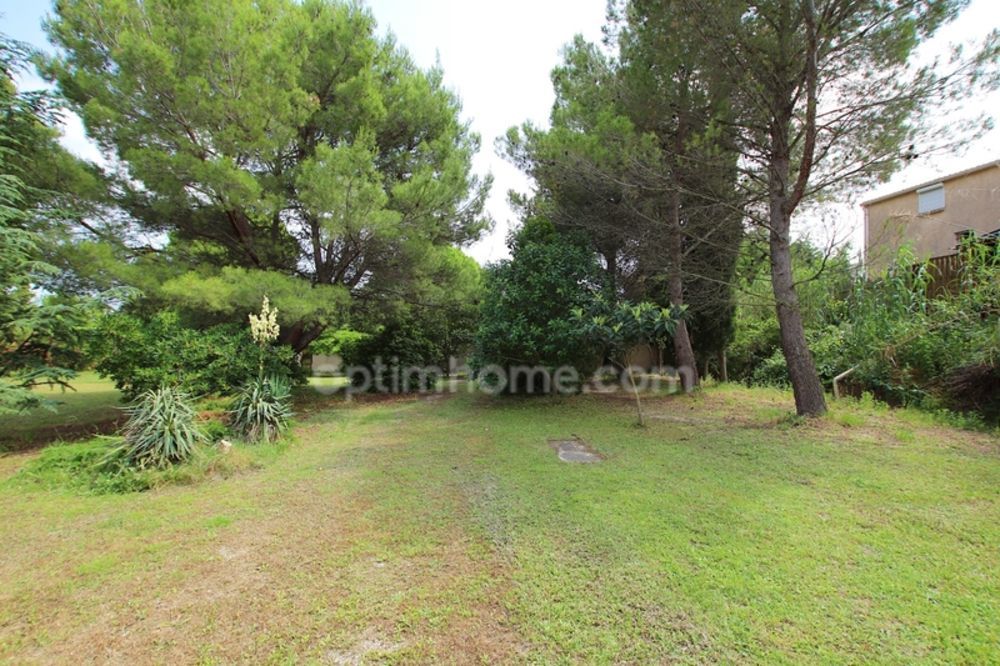 � vendre  Maison Loupian (34140)