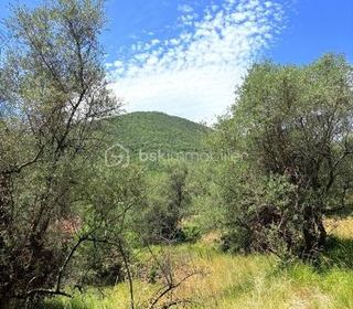  Terrain � vendre 3077 m�