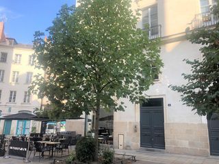  Appartement � louer 3 pi�ces 56 m�