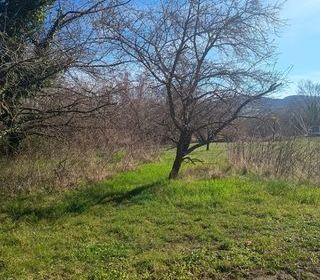  Terrain � vendre 884 m�