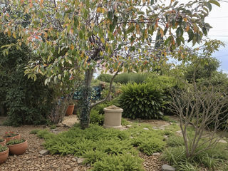  Maison � vendre 9 pi�ces 216 m�