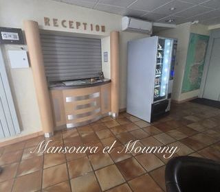  H�tel Particulier � vendre 15 + pi�ces 600 m�