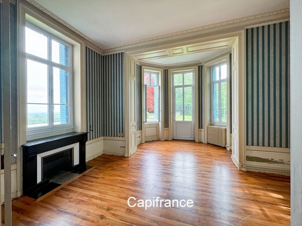 � vendre  Propri�t�/ch�teau Eyzin-Pinet (38780)