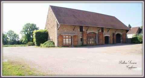 Entrep&ocirc;t professionnel 590 m&sup2; sur 3 227 m&sup2; � Secteur Semur-en-Auxois / Avallon 209000 21140 Semur en auxois