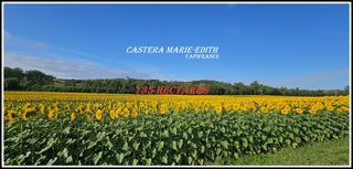  Propri�t�/ch�teau � vendre 1 pi�ce 860 m�