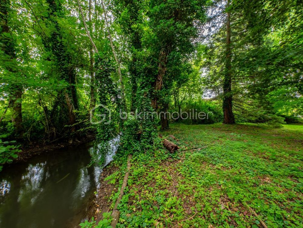 � vendre  Propri�t�/ch�teau Maillot (89100)