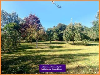  Propri�t�/ch�teau � vendre 15 + pi�ces 233 m�